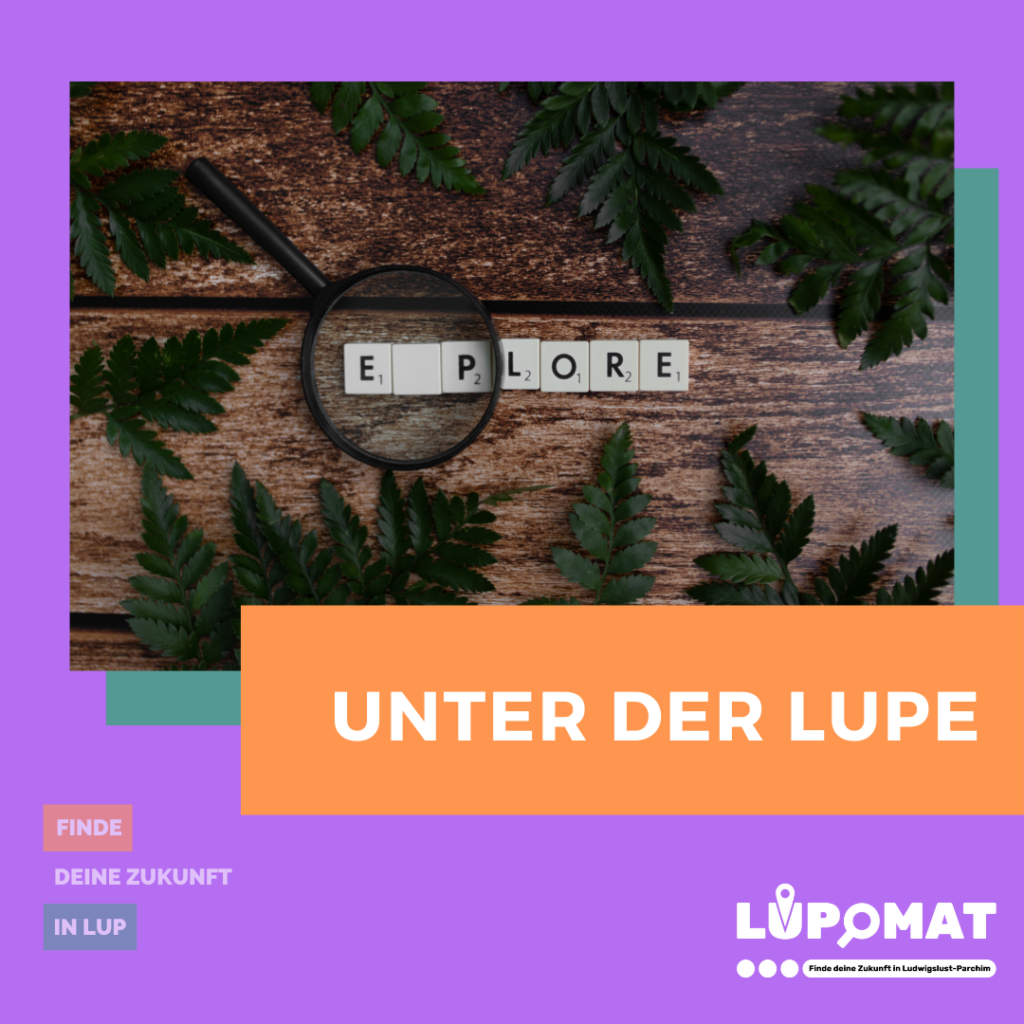 Dein Wunschberuf
